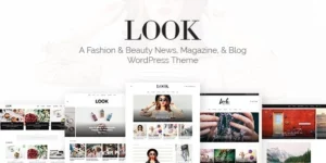 Look: Minimal Magazine and Blog WordPress Theme 5.6破解版主题