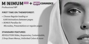 MINIMUM Professional WordPress Theme 4.1破解版主题