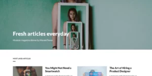 Magsy Modular Magazine Blog Theme 1.3破解版主题