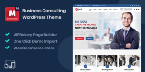 Majed Business Consulting WordPress Theme 1.0.0破解版主题