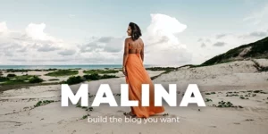 Malina 2.4.1破解版主题