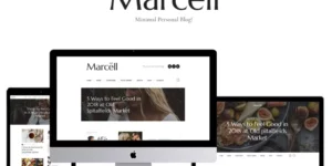 Marcell Personal Blog Magazine WordPress Theme 1.2.10破解版主题