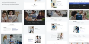 Mario. Creative Multipurpose WordPress Theme 1.0.6破解版主题