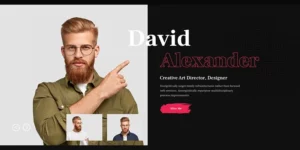 MeLive Personal Portfolio WordPress Theme 1.0.1破解版主题