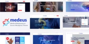 Medeus Medical Multipurpose Doctor WordPress Theme 1.0破解版主题