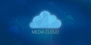 Media Cloud for WordPress 4.2.37破解版插件