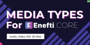 Media Types For Enefti NFT Marketplace Core (Addon) 1.0.1破解版插件