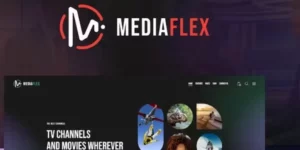 MediaFlex – TV Channel Streaming WordPress Theme 1.0破解版主题