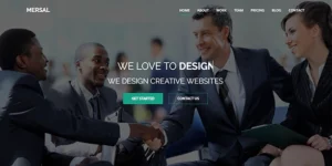Mersal One Page MultiPurpose WordPress Theme 1.0破解版主题