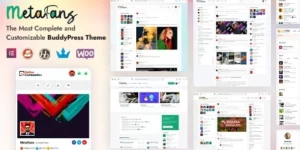 MetaFans Community Social Network BuddyPress Theme 3.3.5破解版主题