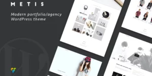 Metis Portfolio / Agency WordPress Theme 1.4.4破解版主题