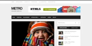 Metro Elegant Premium Magazine WordPress Theme 1.3.0破解版主题