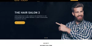 Mindz Salon WordPress Theme 1.00破解版主题