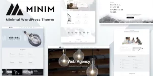 Minim Minimal WordPress Theme 2.6破解版主题