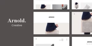 Minimal Portfolio Arnold. 2.3.1破解版主题