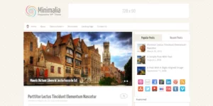Minimalia Fully Responsive Blog WordPress Theme 1.3.1破解版主题