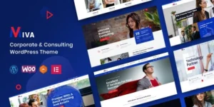 Miva Business Consulting WordPress Theme 1.0.2破解版主题