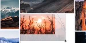 Modula Whitelabel 1.0.2破解版插件