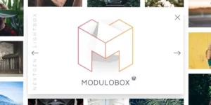 ModuloBox NextGen Lightbox Plugin for WordPress 1.6.0破解版插件