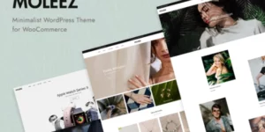 Moleez Minimalist WordPress Theme for WooCommerce 2.4.4破解版主题