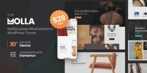 Molla | Multi-Purpose WooCommerce Theme 1.4.1破解版主题