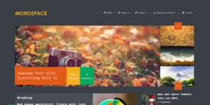 OboxThemes Dynamo WordPress Theme 1.6.4破解版主题