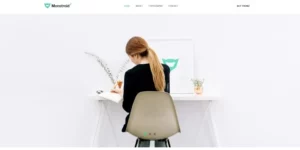 Monstroid 2 Lite free WordPress Theme 1.0.0破解版主题