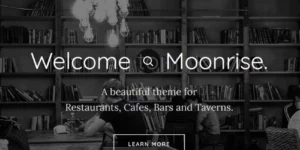 Moonrise wordpress theme 1.01破解版主题