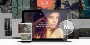 Moose Creative Multi-Purpose Theme 3.5破解版主题