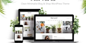 Morvarid Clean Minimalist Blog Shop WordPress Theme 1.0.6破解版主题