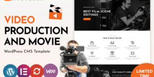 Movscen Movie Studios and Filmmakers WordPress theme 1.0.0破解版主题