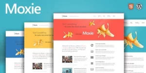 Moxie 1.3.19破解版主题