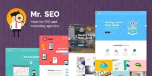 Mr. SEO Social Media Marketing Agency Theme 2.0破解版主题