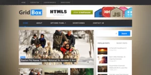 MyThemeShop Boxline Modern Elegant WordPress Magazine Theme 1.1.0破解版主题