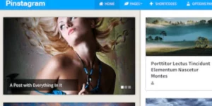 MyThemeShop Pinstagram 1.4.8破解版主题