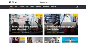MyThemeShop Reactor 1.1.1破解版主题