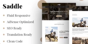 MyThemeShop Saddle WordPress Theme 1.0.10破解版主题