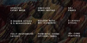 NEXX MULTI PURPOSE BUSINESS WORDPRESS THEME 1.0破解版主题