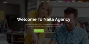 Naila One Page MultiPurpose WordPress Theme 1.0破解版主题