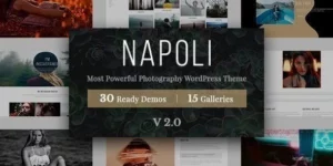 Napoli Photography WordPress 2.4.1破解版主题