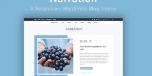 Narration A Responsive WordPress Blog Theme 1.9破解版主题