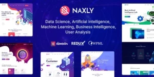 Naxly Data Science Analytics WordPress Theme 1.1破解版主题