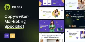 Ness Marketing Agency SMM WordPress Theme 1.0.0破解版主题