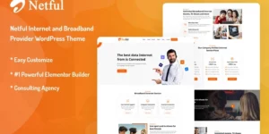 Netful Internet and Broadband Provider WordPress Theme 1.0.0破解版主题