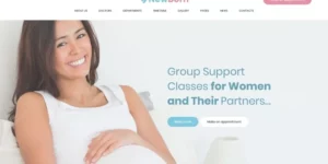 Newborn Pregnancy Support Center WordPress Theme 1.0.0破解版主题