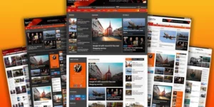 Newsever Pro – An ideal WordPress Theme for Best Responsive News and Magazine Sites 2.1.0破解版主题