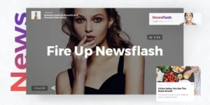 Newsflash News Magazine Theme 1.6破解版主题