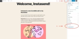Newsletter Instasend 1.0.3破解版插件