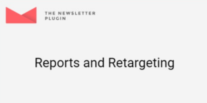 Newsletter Reports and Retargeting 4.5.7破解版插件