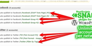 NextScripts Social Networks Auto-Poster Pro 4.4.2破解版插件